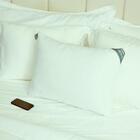 Travesseiro Altenburg Conecta Suporte Firme 50cm X 70cm