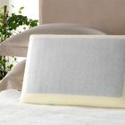 Travesseiro Altenburg Gellou 46cm X 68cm