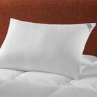 Travesseiro Altenburg Levitare 50cm X 70cm