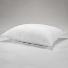 Travesseiro Altenburg Levitare Plus 50cm X 70cm