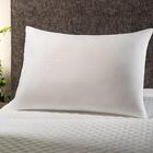 Travesseiro Altenburg Toque De Plumas 50cm X 70cm