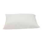 Travesseiro Castor Sleep Pluma De Ganso 40x60x11cm