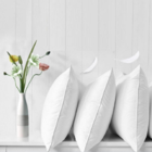 Travesseiro Cotton Plus 180 Fios 0,50x0,70 Suporte Médio