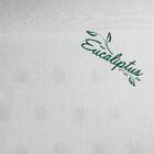 Travesseiro Eucaliptus Branco