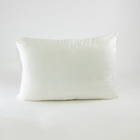 Travesseiro Fibra 50x70cm Lynel