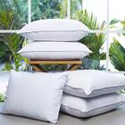 Travesseiro Gold Branco