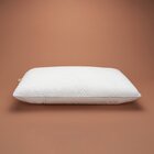 Travesseiro Medium Cronos Cabecasa Madeiraoriginals Branco