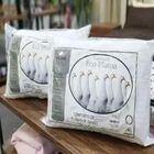 Travesseiro Pluma De Ganso