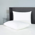 Travesseiro Pluma De Ganso Impermeável Casen 70x50cm