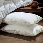 Travesseiro Plumas De Ganso 45x65cm Plumasul 233 Fios Branco