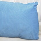 Travesseiro Plumax I Azul