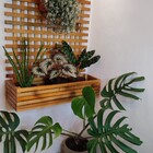 Treliça De Madeira Cruzada Com Cachepô T17