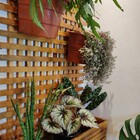 Treliça De Madeira Cruzada Com Cachepô T17