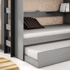 Treliche Fórmula 1 - Cinza/Preto