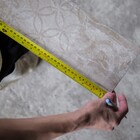 Trena com Freio Manual 8m Stanley