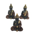 Trio Budas Mudras Atmanjali, Abhaya E Dhynana - Preto 7cm