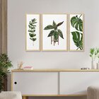 Trio De Quadros Com Moldura Plantas Folhas Decoração Cozinha