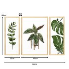 Trio De Quadros Com Moldura Plantas Folhas Decoração Cozinha