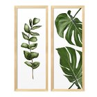 Trio De Quadros Com Moldura Plantas Folhas Decoração Cozinha