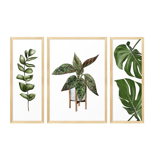 Trio De Quadros Com Moldura Plantas Folhas Decoração Cozinha