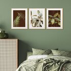 Trio De Quadros Decorativos Com Folhagens Natureza