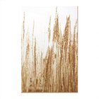 Trio De Quadros Decorativos Minimalista Abstrato Formas