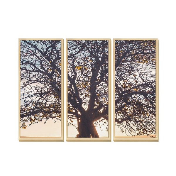 Trio De Quadros Decorativos Paisagem Árvore Natureza