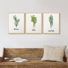 Trio De Quadros Decorativos Temperos Plantas Cozinha Parede