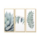 Trio De Quadros Decorativos Verde Suculenta