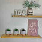 Trio De Vasos De Cimento Lapidado Com Faixa Rose Gold