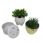 Trio Decorativo Cachepot Gatinho, Potiche E Vaso Dourado