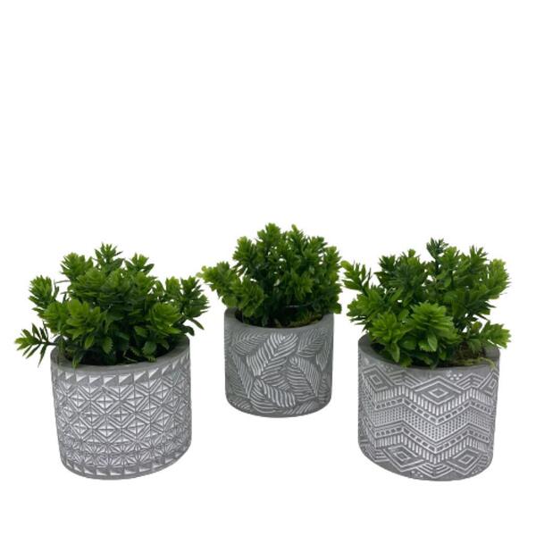 Trio Decorativo Vasos De Cimento Estampa Mosaica Com Planta