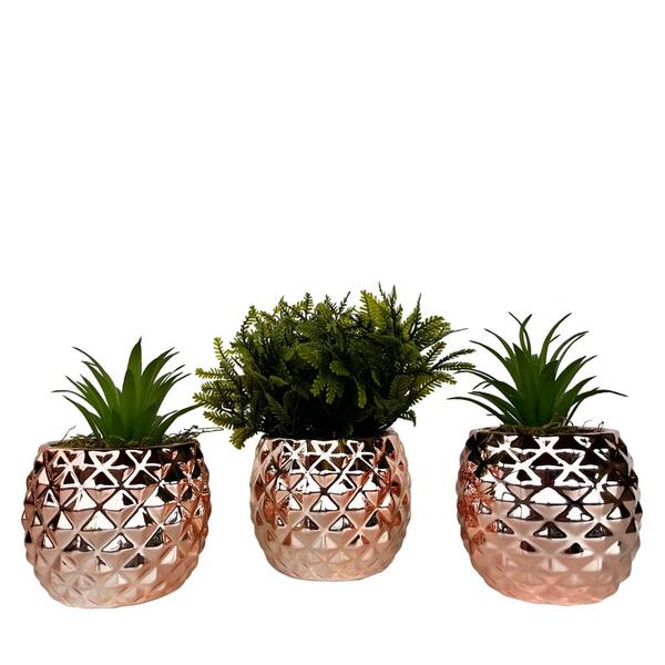 Trio Vaso Cachepô Rose Gold De Cerâmica Com Suculenta Decor
