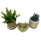Trio Vaso De Corda Sisal, Coração Dourado E Vaso Geométrico
