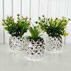 Trio Vaso Prata Estilo Abacaxi Com Estampa Em Alto Relevo