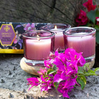 Trio Velas Aromatizada Decorativa Copo Vidro Lilás Perfumada