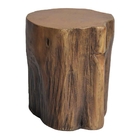 Tronco De Arvore Em Resina