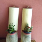 Tronco Toquinhos Suporte Orquídea Suculenta Madeira Natural