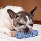 Tubo Dentinhos Escova Dental De Tpr Pet Azul U