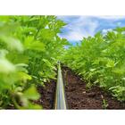 Tubo Gotejador Streamline X 16060 1.60 L/h 50cm 3000m - Netaf