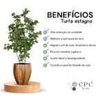 Turfa Sphagnum Premium Para Substrato CPC Garden 5 Litros