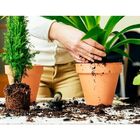 Turfa Sphagnum Premium Para Substrato CPC Garden 5 Litros