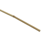 Tutor Bambu Bege 100cm