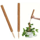 Tutor de Planta de Coco Marrom 50x4cm Top Garden