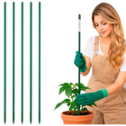 Tutor de Planta em Metal Verde 60cm X 9mm Top Garden