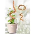 Tutor Flexível De Fibra De Coco P/ Plantas (60cm) Top Garden