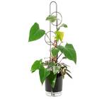 Tutor Metal Urban Preto 0,8x02cm Raiz