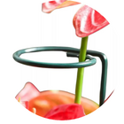 Tutor Fácil Prático para Orquídeas e Jardinagem 60cm Top Garden