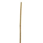 Tutor Treliça Bambu Bege 210cm