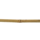 Tutor Treliça Bambu Bege 210cm